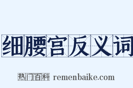 细腰宫反义词是什么意思的图片
